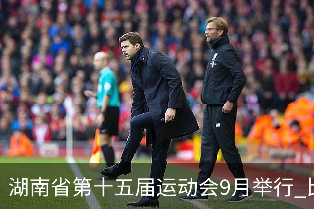 湖南省第十五届运动会9月举行 比赛场馆均已竣工验收